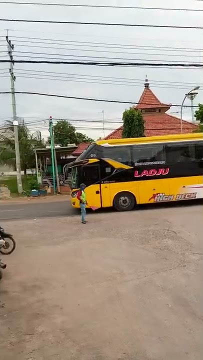 Bus Pariwisata ladju #shorts #shortsvideo #shortsfund