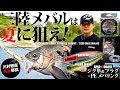 いまが狙い目、三陸メバル!ジグヘッドリグ&プラグ最新使いこなし術 #アピア #XBRAID #川村雅直 #メバリング