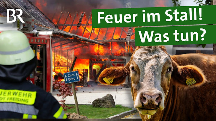 Tabuthema Stallbrand: Wie kann man Tiere retten? Brandschutz im Stall | Unser Land | BR