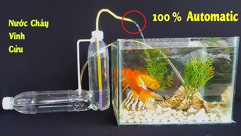 Làm Máy Bơm Nước Tự Động Cho Bế Cá Không dùng đông cơ Học theo trên mạng phát hiện toàn lừa đảo