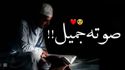 سورة الحجرات (كاملة) تلاوة هادئة بصوت يأخذك إلى عالم آخر 😴🤍 أرح سمعك هدوء 💤