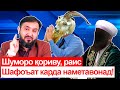 Хитоби Муҳаммадиқбол ба тамоми бузҳои орангутанг!