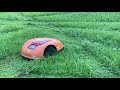 Fore Sale Robot Lawn Mower mowing tall, thick, wet grass How Good cuts grass after huge Rain video