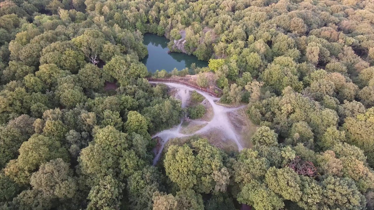 4K Drone footage - Swithland woods - Phantom 4