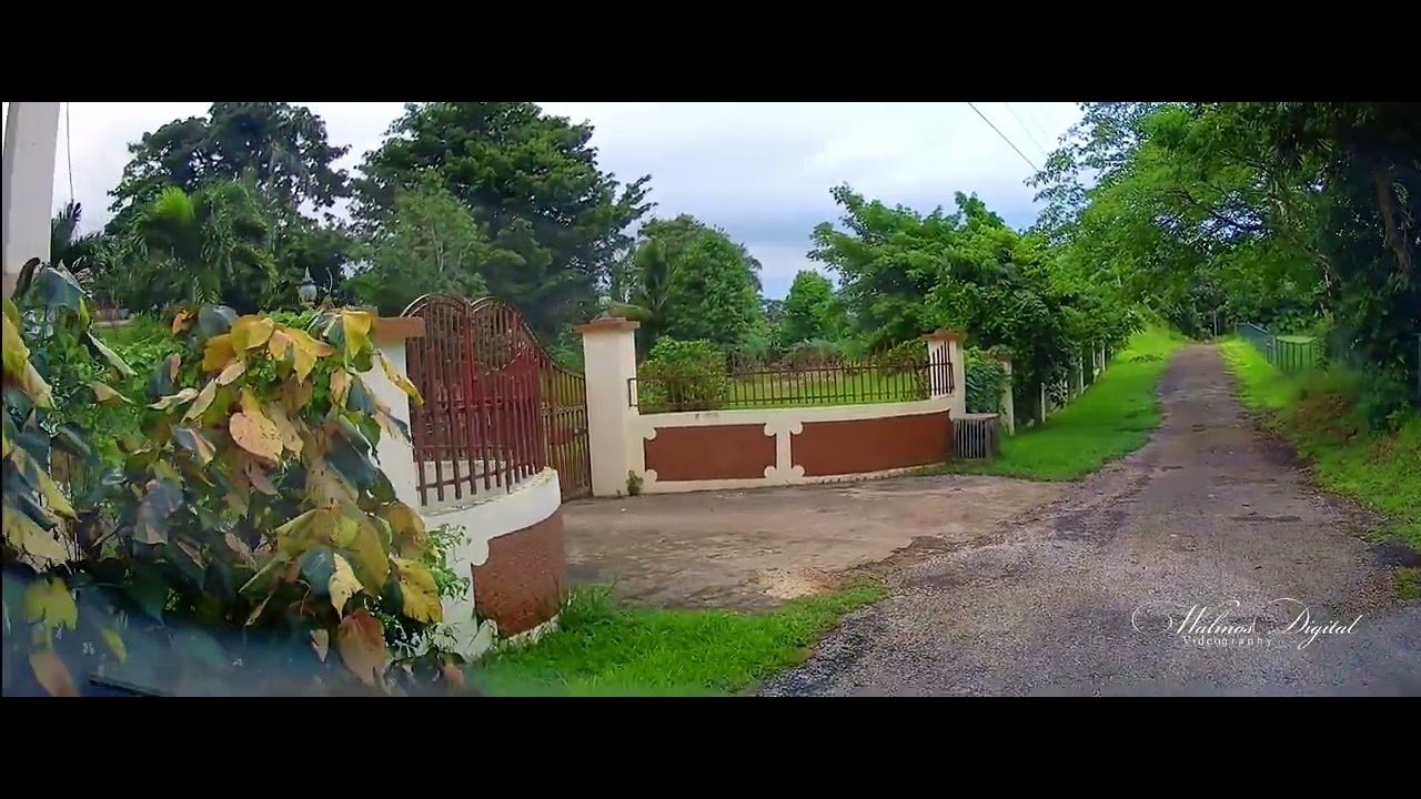 GODFREY LANDS Mandeville Jamaica Walinton Mosquera YouTube