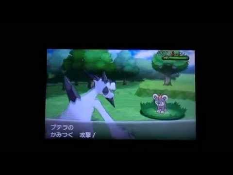 ポケモンxy メガプテラ ステータス 特性紹介 Edwin Dubarrera Youtube ポケモンxy メガプテラ ステータス 特性紹介 Edwin Dubarrera Youtube