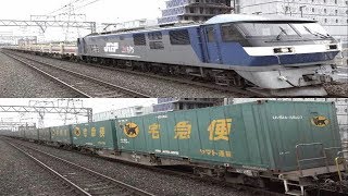 2019年1月5日,1月6日,1月7日 貨物列車動画いろいろまとめて大集合 -豪華編成の貨物列車を撮れる…はずだった-