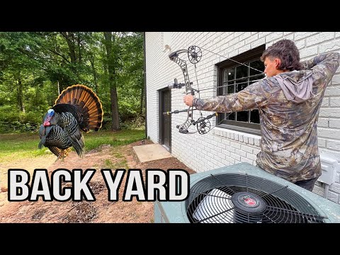 BACKYARD Suburban Turkey Hunting (GIANT GOBBLER) with a Bow