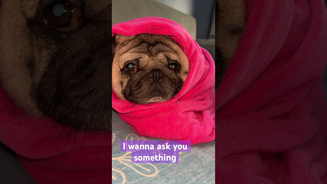 How would you name me ?