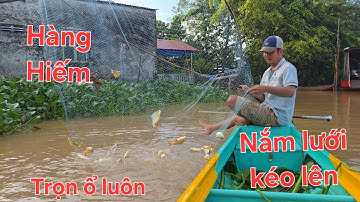 Trúng 1 dạo là đủ vốn. Hốt nguyên bầy cá HE ĐỎ trời vừa sáng | Săn bắt SÓC TRĂNG |