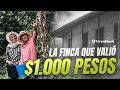 La finca que valió mil persos | Teleantioquia