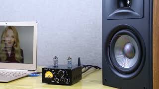 Amazon co jp AIYIMA T9 Bluetooth 5 0 100W2チューフアンフ 2 0チャンネル 真空管 U