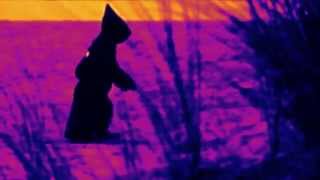 Teletubby Division - Tubbing From A Distance