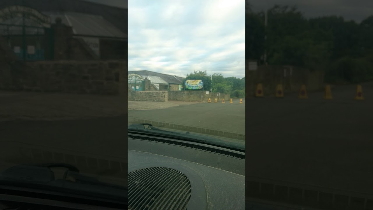 camera iphone 8 plus apk Dog and cat shelter TV