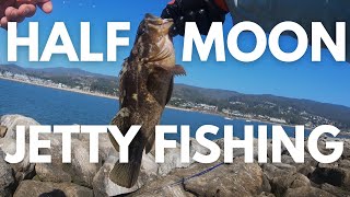 Multi-Species Fishing & Crabbing at Half Moon Bay Jetty