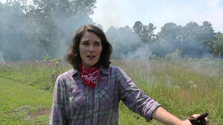 Getting to Know Laura Stroud