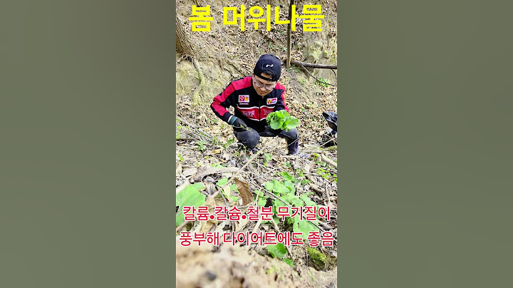 윽! 겁나게 씁니다! 이 나물이 보약!