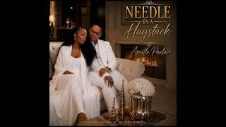 Needle In A Haystack - Apostle Paula