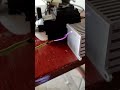 Never Gonna Give You Up - Musical Flyback