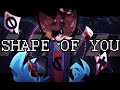 Oldshape of you meme  furry animation meme 20180813