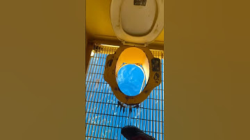 The most relaxing toilet on the ship