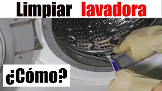 Cómo LIMPIAR la LAVADORA por dentro . Recomendaciones para evitar manchas de humedad y malos olores