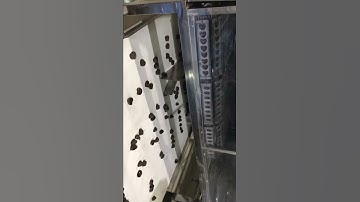 small boiled jaggery sugar cube making machine