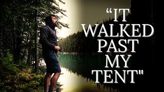 BIGFOOT ENCOUNTER - Strange Happenings at Hidden Lake - MBM 132