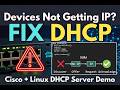 Devices Not Getting IP Address? Fix DHCP on Cisco | Linux DHCP Server Demo
