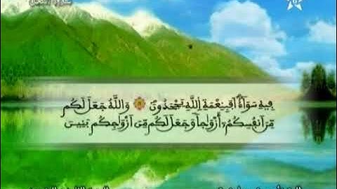 الحزب الثامن والعشرون 28 ما تيسر من سورة النحل - القارئ رشيد بلعشية 