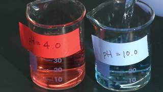 How To Standardize A Ph Meter Hd 1080P