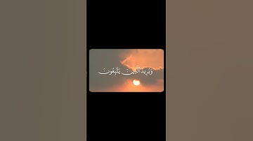 محمد صديق المنشاوي / سورة النساء