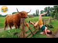 Viral Funny Fails 🤪 Crazy Accidents and Silly People Compilation