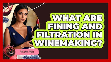 What Are Fining And Filtration In Winemaking? - Fine Wine Facts