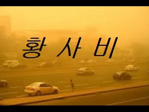 사랑비로서의 봄비면 좋으련만... 황사비가 내리네요