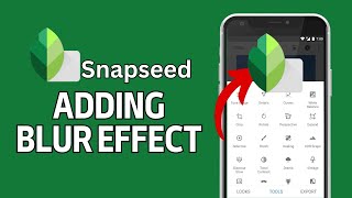 How to Add Blur in Snapseed 2024 screenshot 3