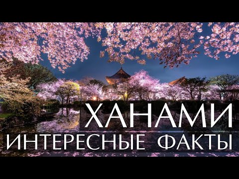 Традиция Ханами - интересные факты