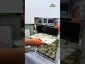 Dehydrated Potato Powder🔥 | Complete Manufacturing Plant Setup 2026