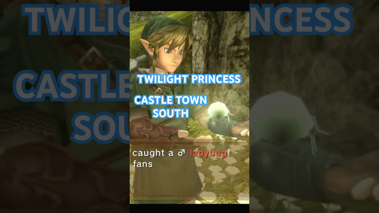 BUG LOCATION & RUPEES IN CASTLE TOWN SOUTH - THE LEGEND OF ZELDA - TWILIGHT PRINCESS 