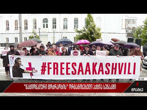 „ნაციონალური მოძრაობის“ ორგანიზებული აქცია სენაკში
