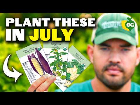 12 Crops You Can STILL Start In July RIGHT NOW!