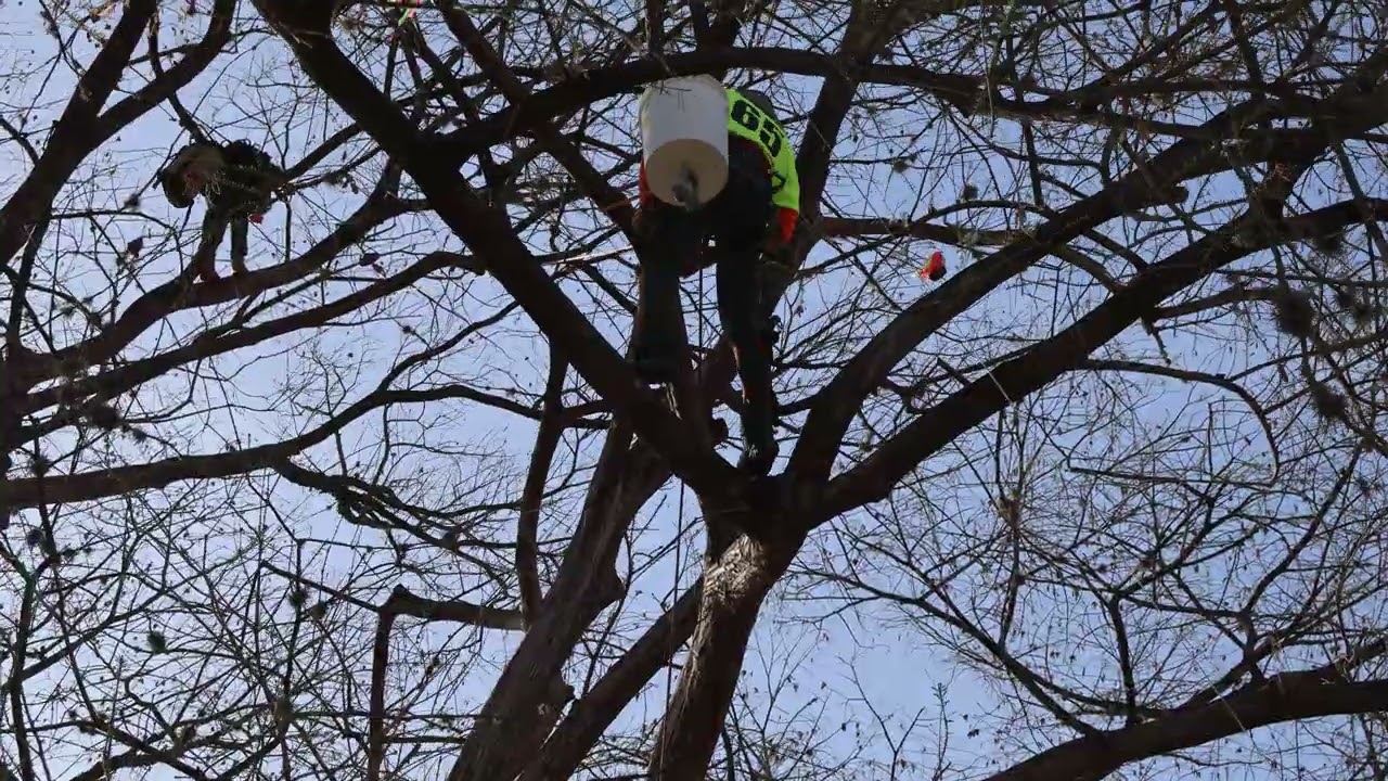 Lawrence Schultz - work climb￼