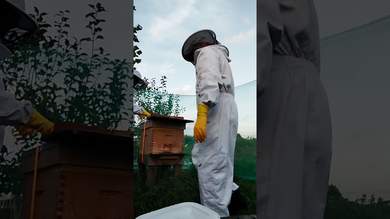 fondabee-vel etetes osszel