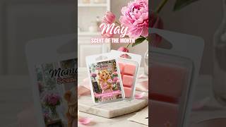 May Scent of the Month/ Blushed Tulips &amp; Peonies. 🌸 Fresh, soft floral spring vibes. #waxmelts
