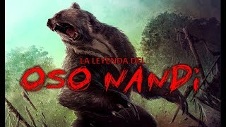 NANDI BEAR: Brain Eater