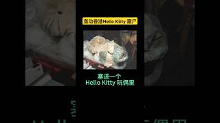 香港最诡异的 Hello Kitty 藏尸案 🧸 #凶宅   #香港  #都市传说  #灵异事件   #靈異故事   #hellokitty  #鬼故事  #shorts   #靈異事件