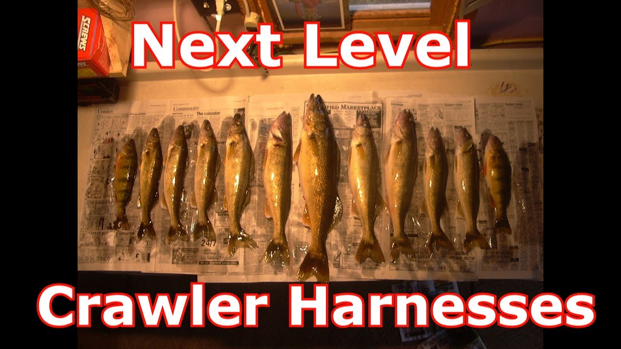 Walleyes And Crawler Harnesses - Beyond The Normal Methods 