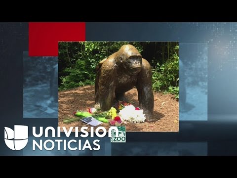 Vídeo: No Avergüences A La Madre Del Incidente Del Zoológico De Cincinnati