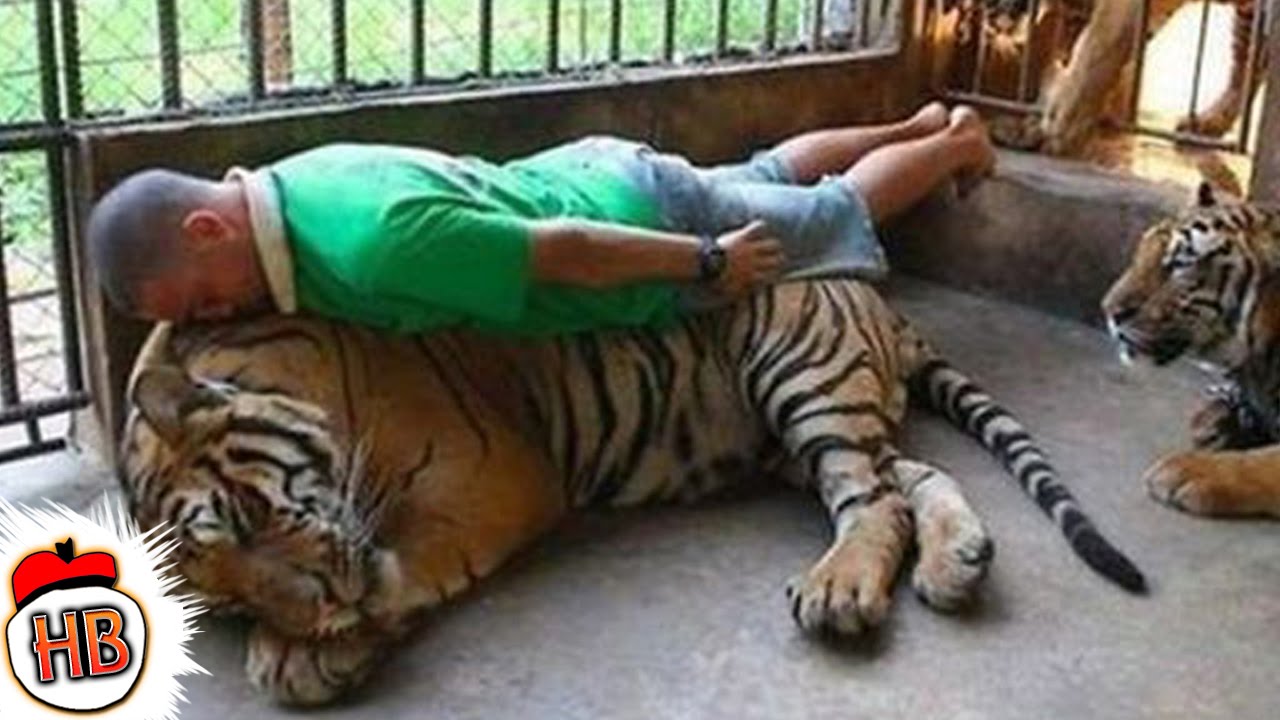 9 People Who Caused Catastrophes For Dumb Reasons