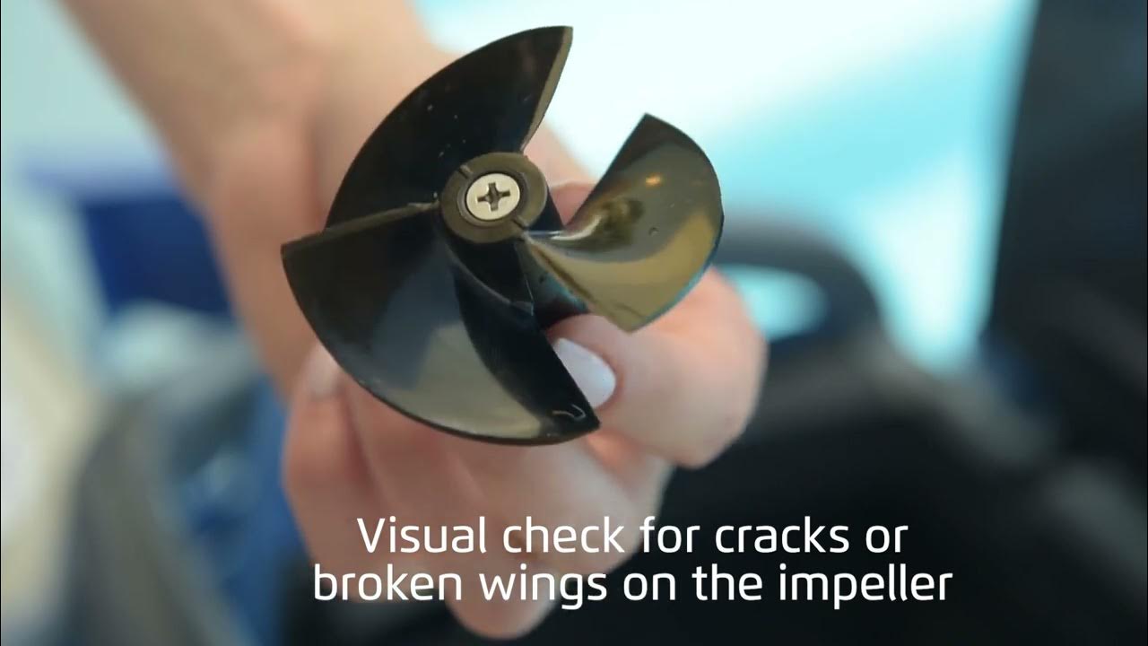 How to clean the Impeller for Maytronics™ Dolphin M600 YouTube